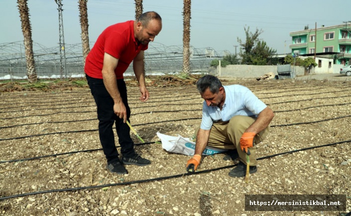 Akdeniz Belediyesi, Üreticileri Maralfalfa İle Tanıştırdı