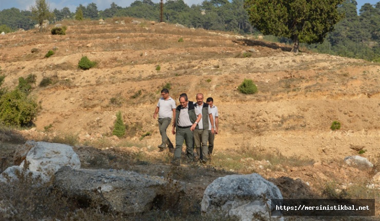 Tarsus'ta ormancılık faaliyetleri inceledi