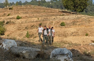 Tarsus'ta ormancılık faaliyetleri inceledi