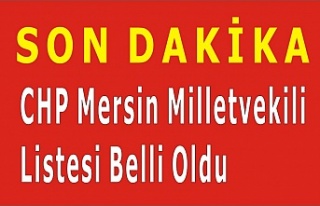 CHP Mersin'de İlk sırada Ali Mahir Başarır...