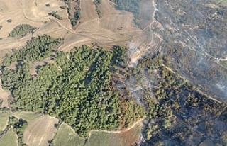 Tarsus ‘ta Orman Yangını